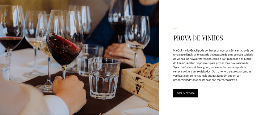 Card Artigo e Checkout 1