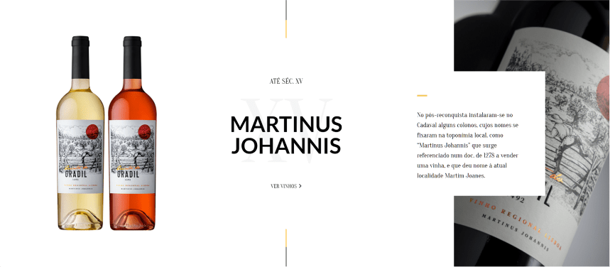 Card Artigo e Checkout 4