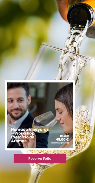 Mobile Website Portugal by Wine
