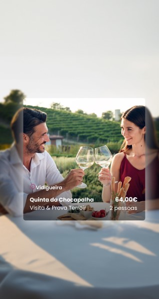Mobile Website Portugal by Wine